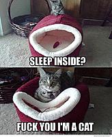 Click image for larger version. 

Name:	535573_469293643120243_207935385_n.jpg 
Views:	4232 
Size:	64.5 KB 
ID:	7201