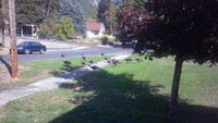Click image for larger version. 

Name:	turkeys.png 
Views:	265 
Size:	1.67 MB 
ID:	7428