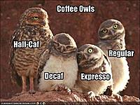 Click image for larger version. 

Name:	funny-coffee-owls.jpg 
Views:	324 
Size:	44.1 KB 
ID:	7254