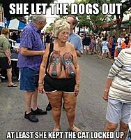 Click image for larger version. 

Name:	dogs out.jpg 
Views:	292 
Size:	79.9 KB 
ID:	7327