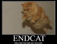 Click image for larger version. 

Name:	endcat.jpg 
Views:	132 
Size:	54.7 KB 
ID:	6092