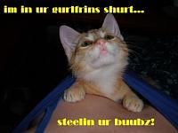 Click image for larger version. 

Name:	lolcatsdotcomjqu7eb5zscpvkyq8.jpg 
Views:	129 
Size:	23.1 KB 
ID:	6093