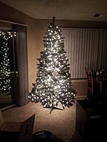 Click image for larger version. 

Name:	christmastree.jpg 
Views:	389 
Size:	74.2 KB 
ID:	7338