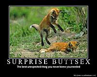 Click image for larger version. 

Name:	6828surprise-buttsex.jpg 
Views:	308 
Size:	58.7 KB 
ID:	6729